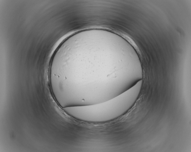 X0000113011148200909241346