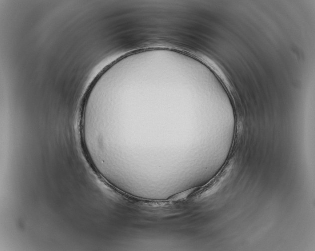 X0000113011149200909241346