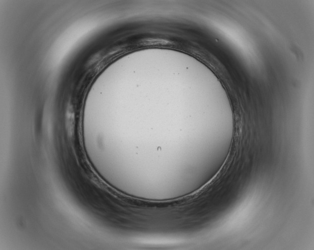 X0000113011151200909241347