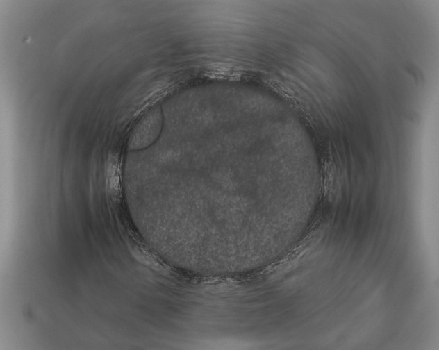 X0000113011154200909241346