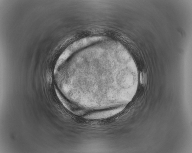 X0000113011155200909241346