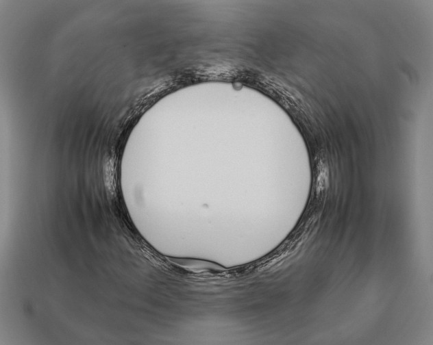 X0000113011156200909241346