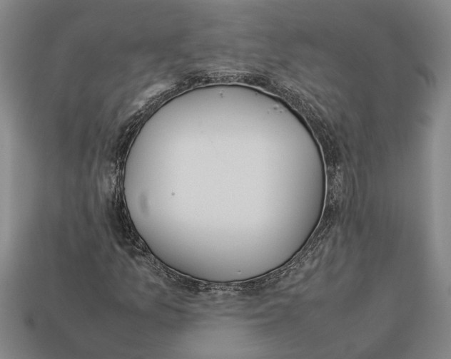 X0000113011157200909241346