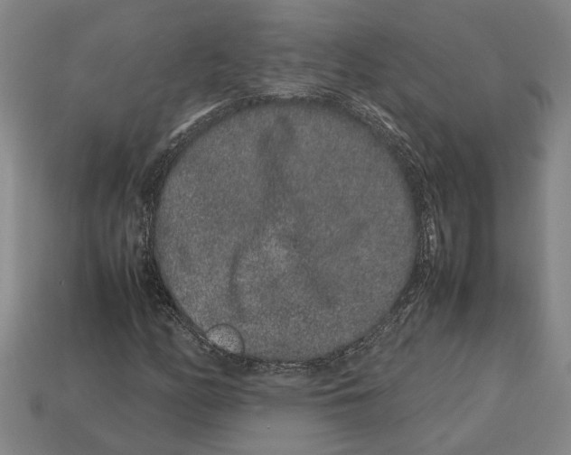 X0000113011158200909241346