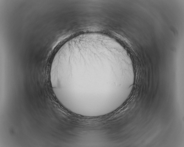 X0000113011160200909241346