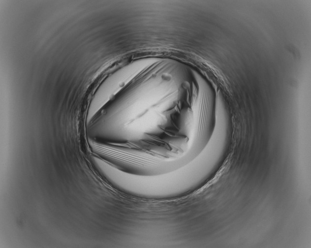 X0000113011162200909241346