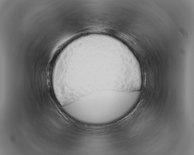 X0000113011164200909241346