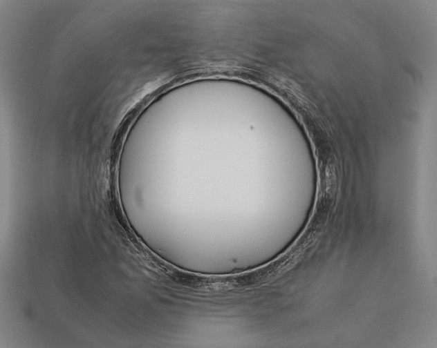X0000113011165200909241346