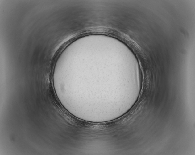 X0000113011166200909241346