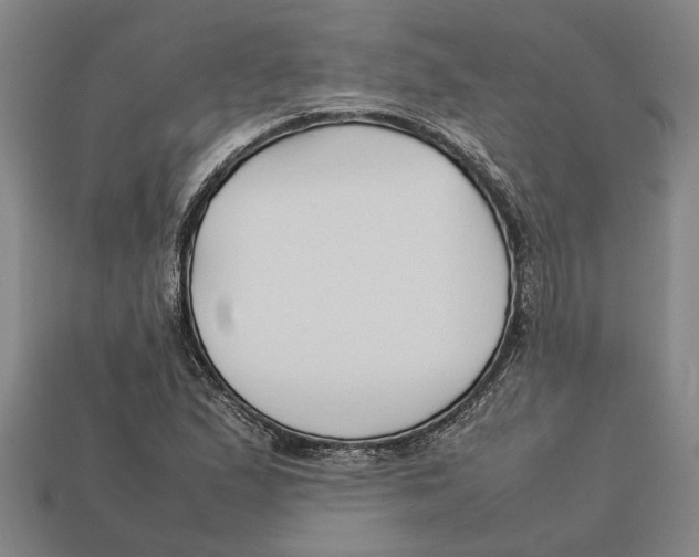 X0000113011167200909241346