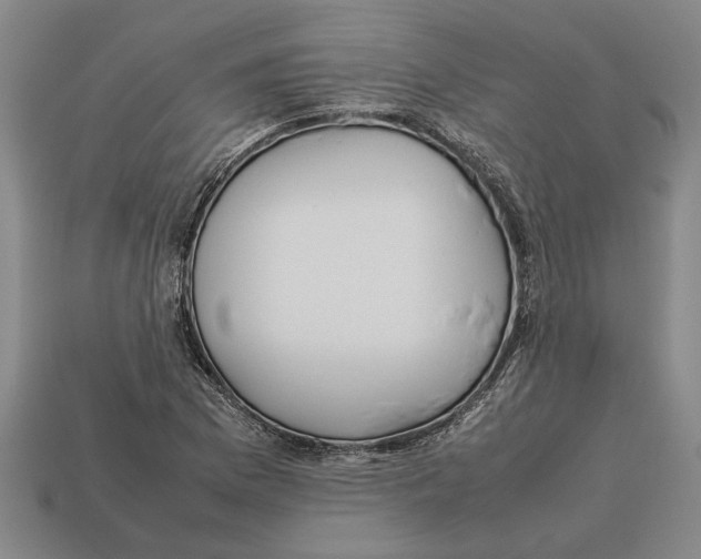 X0000113011169200909241346