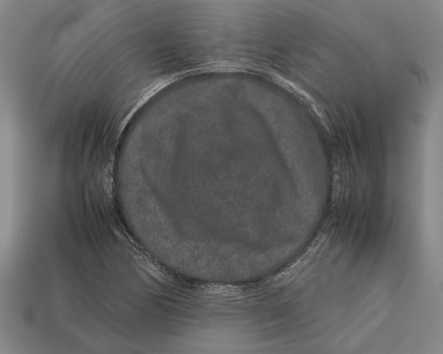 X0000113011170200909241346