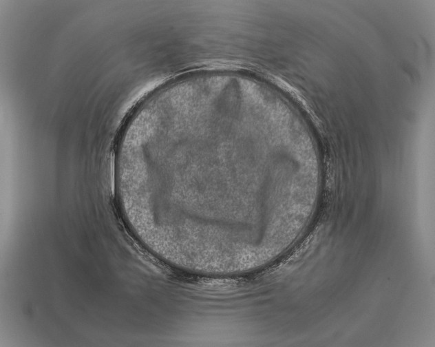 X0000113011171200909241345