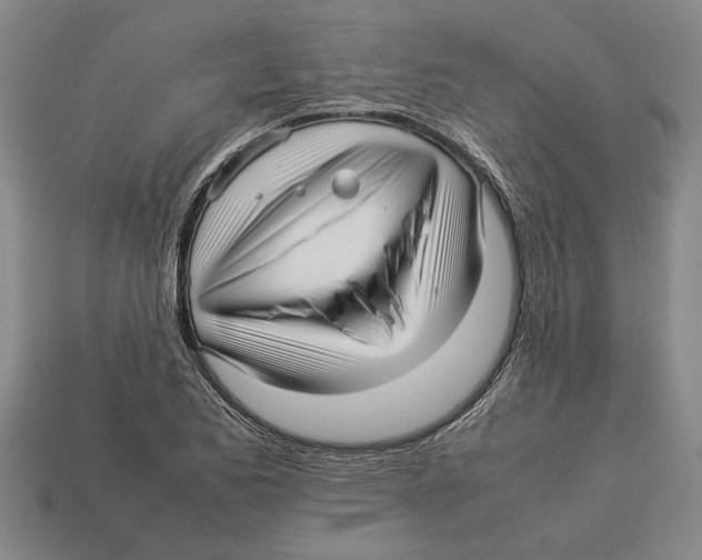 X0000113011173200909241345