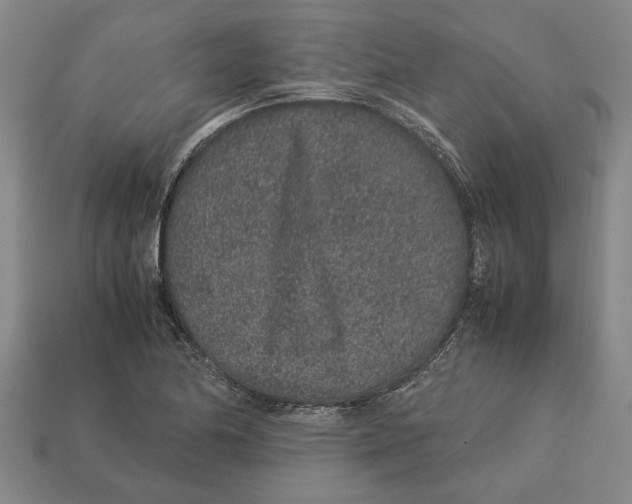 X0000113011174200909241345