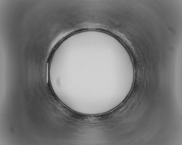 X0000113011175200909241345