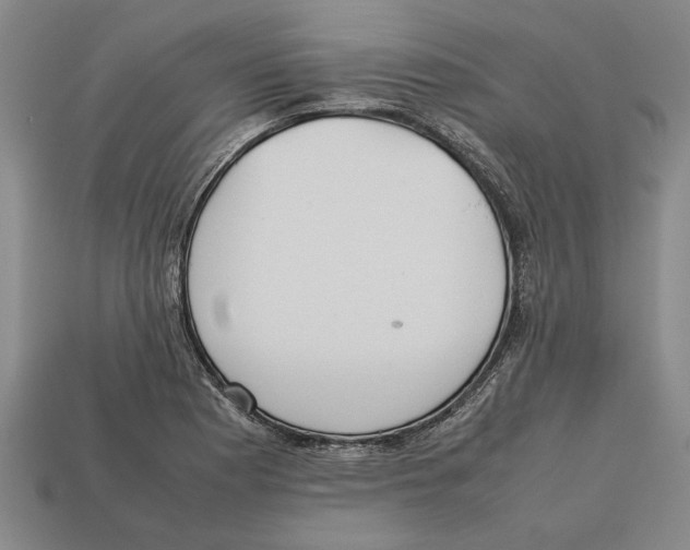 X0000113011177200909241345