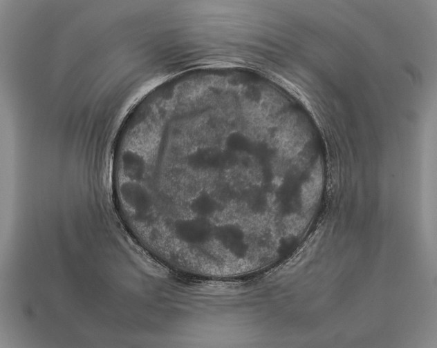 X0000113011179200909241345