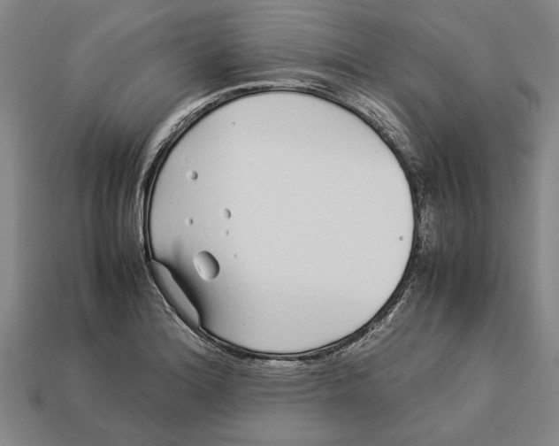 X0000113011180200909241345