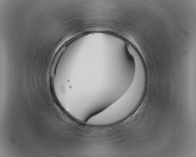 X0000113011181200909241345
