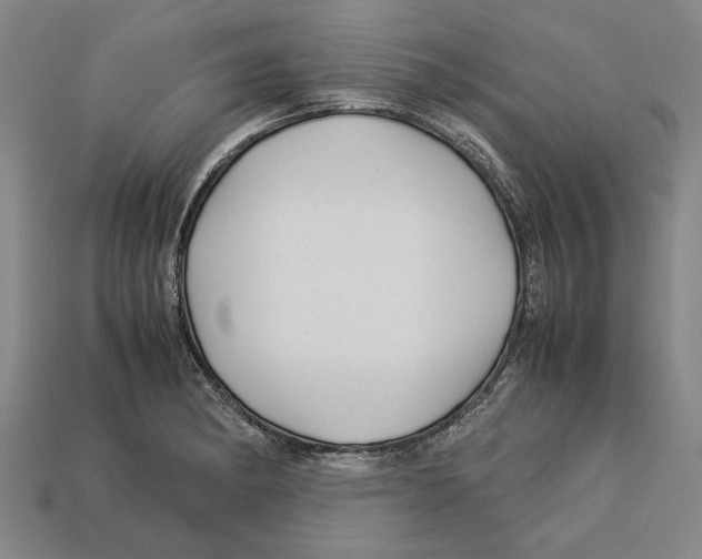 X0000113011182200909241345