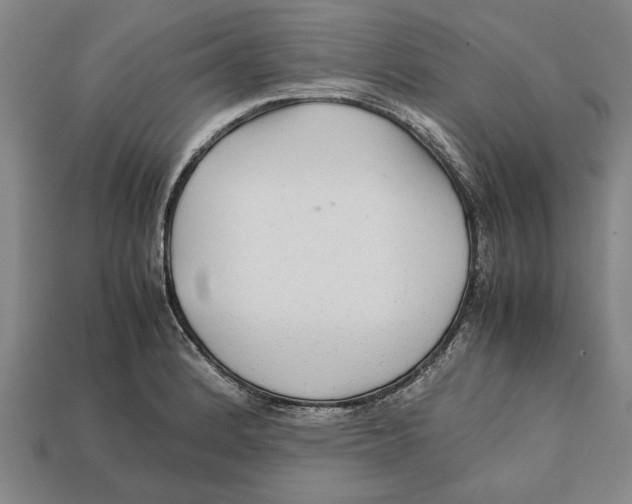 X0000113011184200909241345