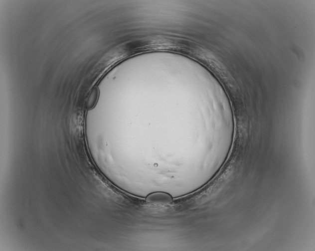 X0000113011185200909241345