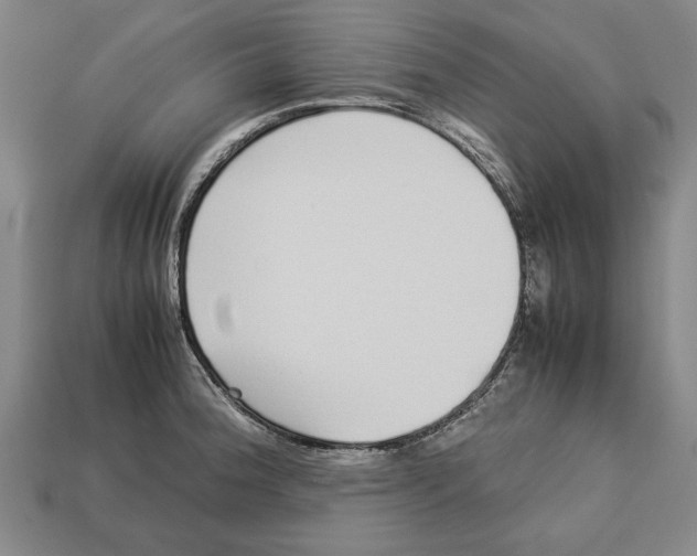 X0000113011188200909241345