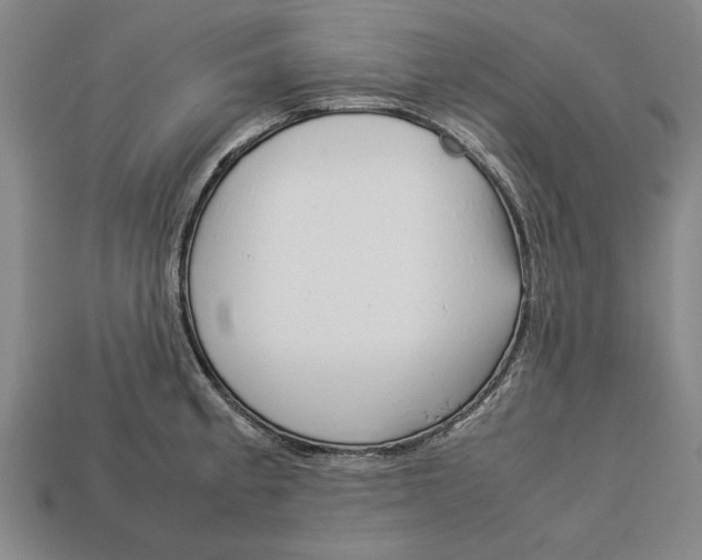 X0000113011189200909241345