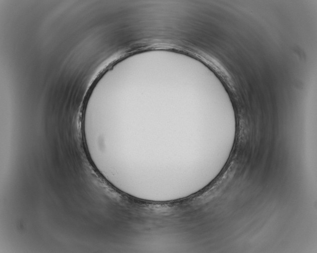 X0000113011190200909241345