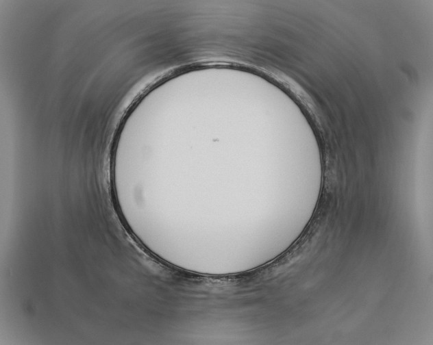 X0000113011191200909241345