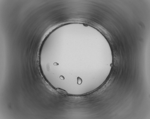 X0000113011192200909241345