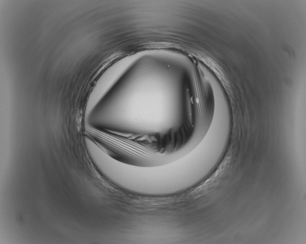 X0000113011193200909241345