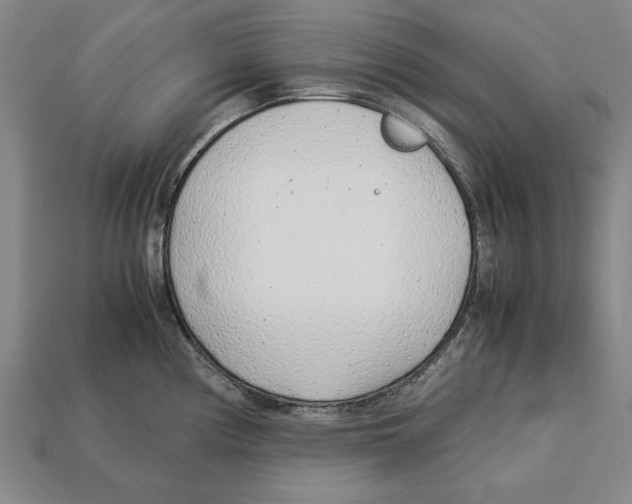 X0000113011194200909241345