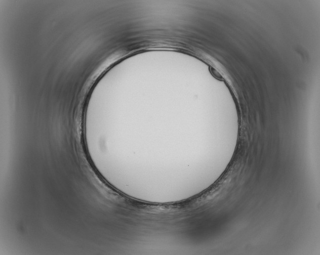 X0000113011195200909241345