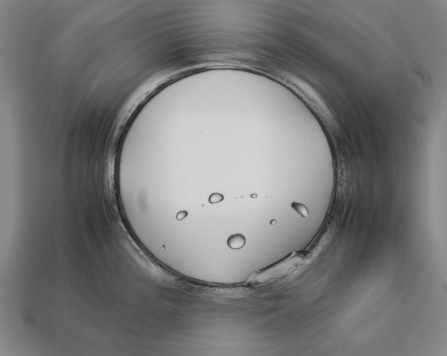 X0000113011196200909241345