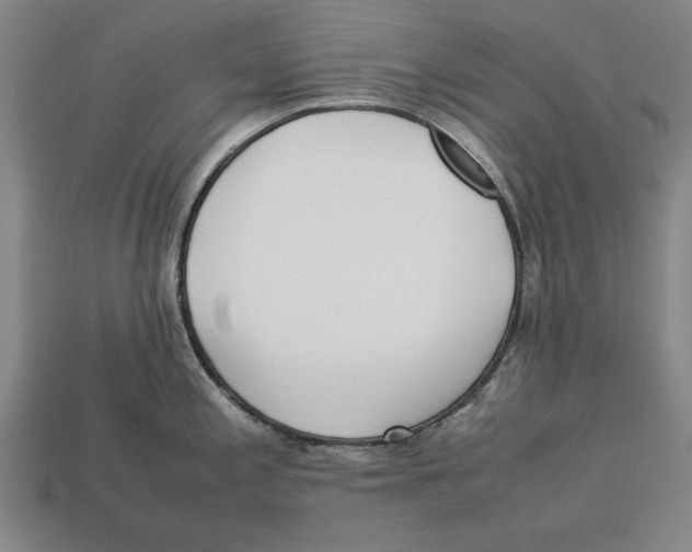 X0000113011197200909241345