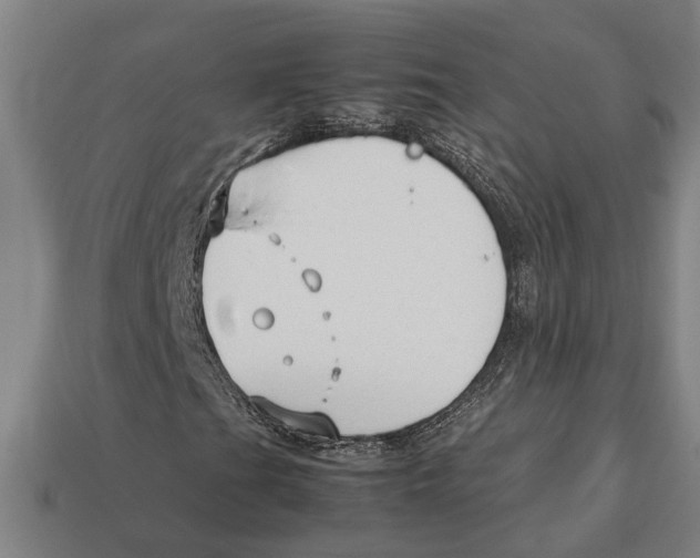 X0000113011201200909241344