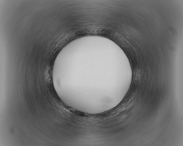 X0000113011202200909241344