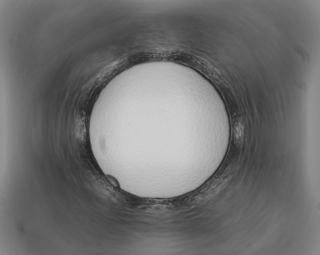 X0000113011204200909241344