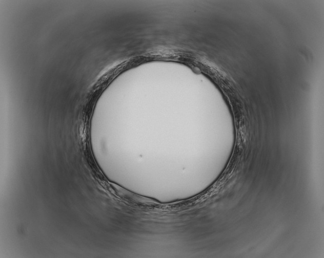 X0000113011206200909241345