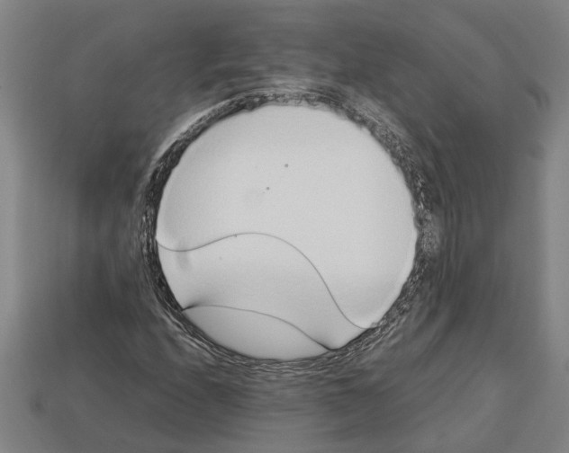 X0000113011208200909241345