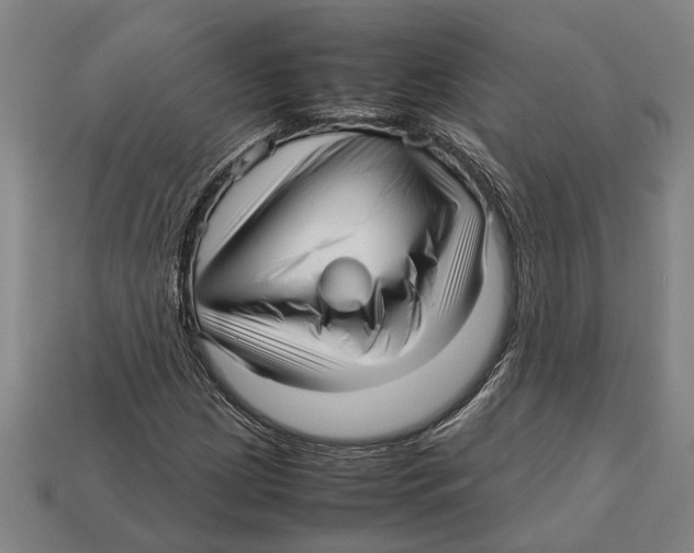 X0000113011209200909241345