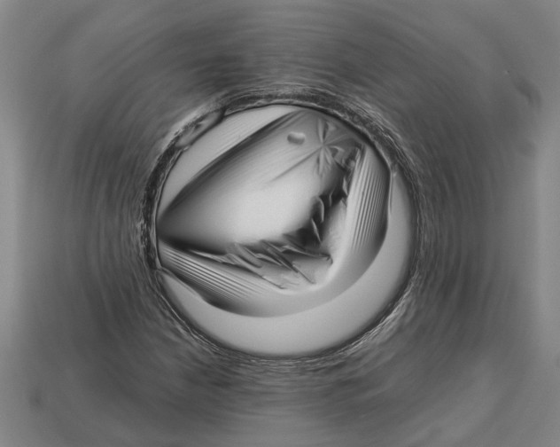 X0000113011210200909241345