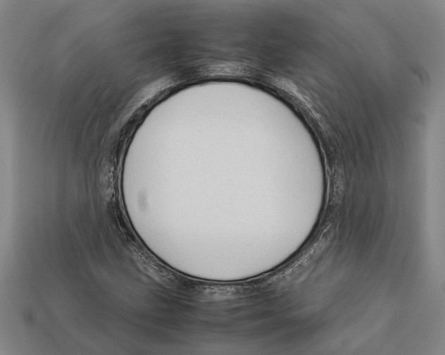 X0000113011211200909241345