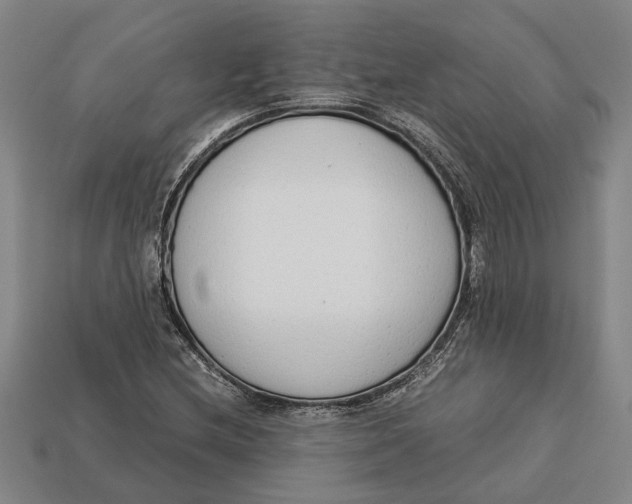 X0000113011212200909241345