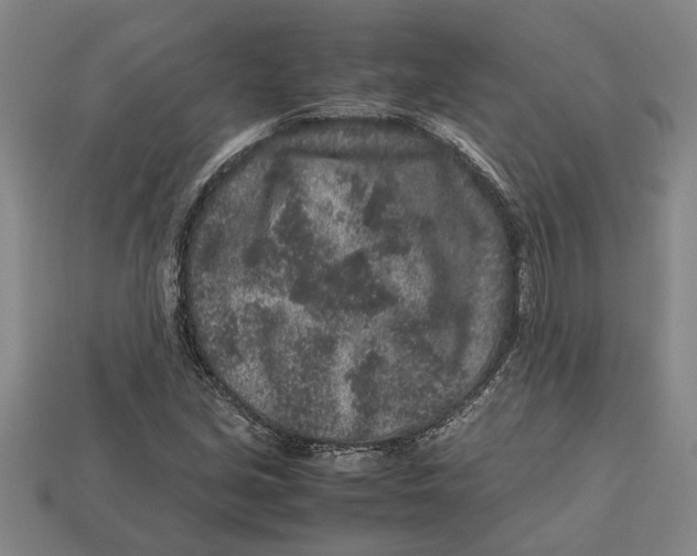 X0000113011213200909241345