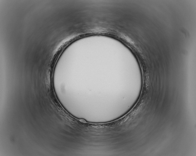 X0000113011214200909241345