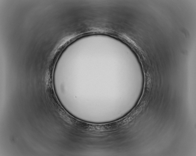 X0000113011215200909241345