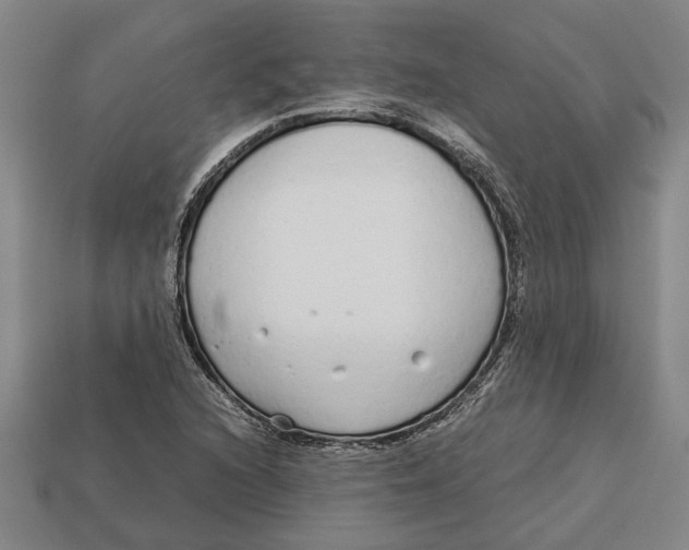 X0000113011216200909241345